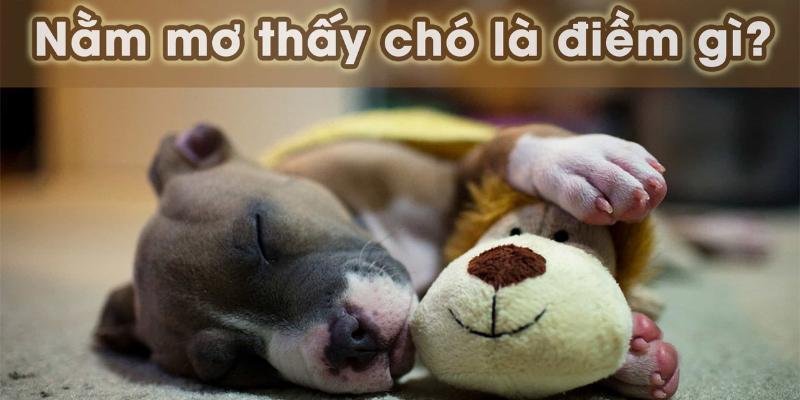 Chiêm bao về chó con báo hiệu điềm gì với anh em lô đề 